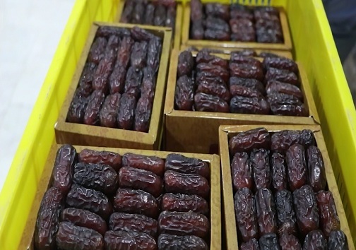 بسته‌بندی و نگهداری