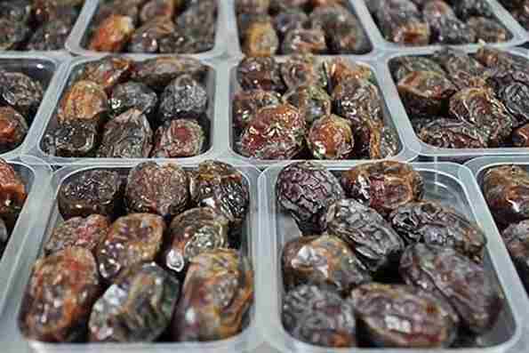 فرآوری خرما