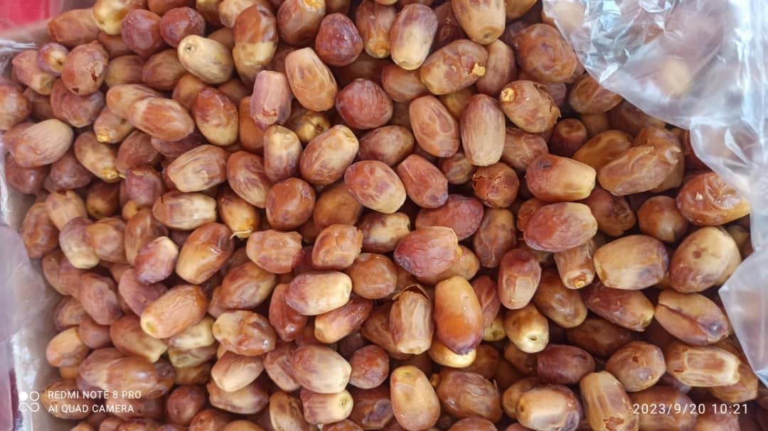 خرمای زاهدی